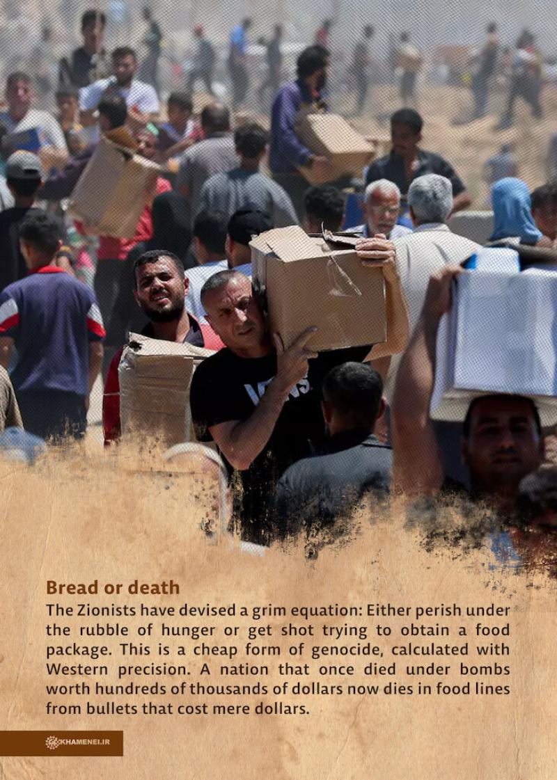 gallery item 48718.jpg