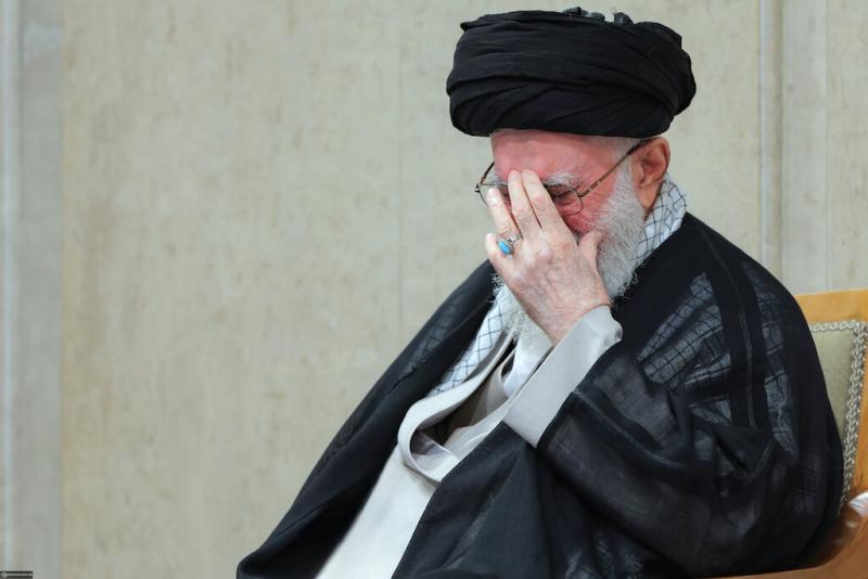 gallery item 49111.jpg