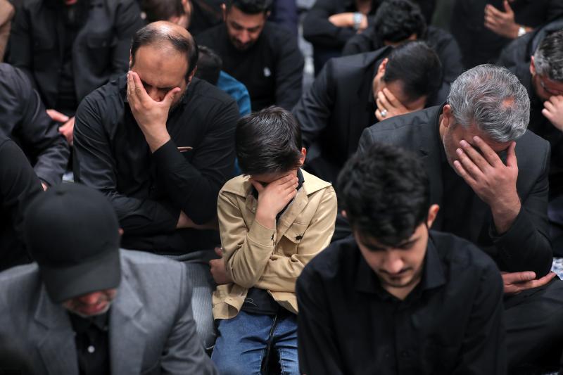 gallery item 49793.jpg