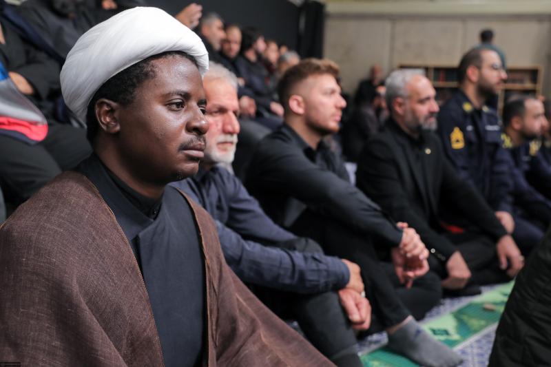 gallery item 49794.jpg