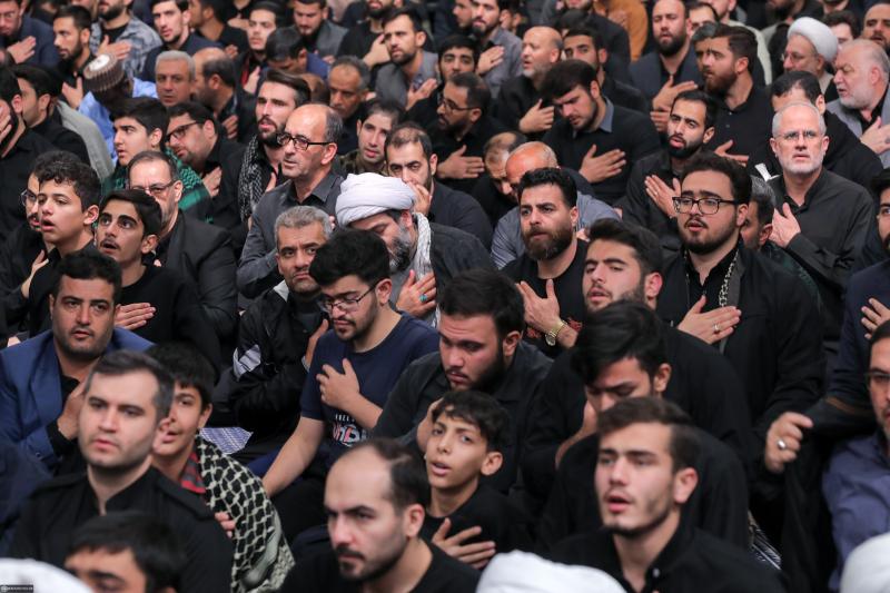 gallery item 49795.jpg