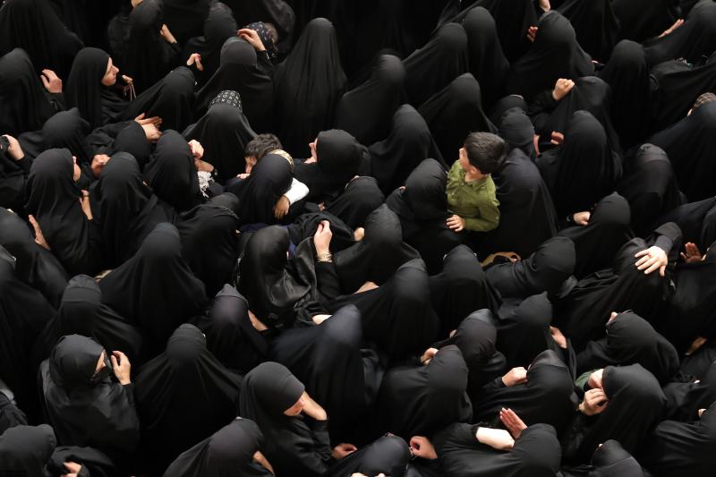 gallery item 49809.jpg