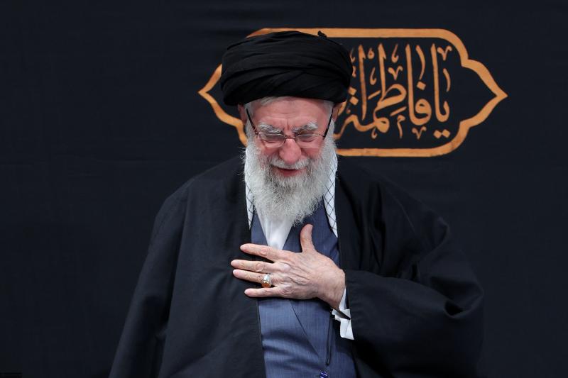 gallery item 49811.jpg