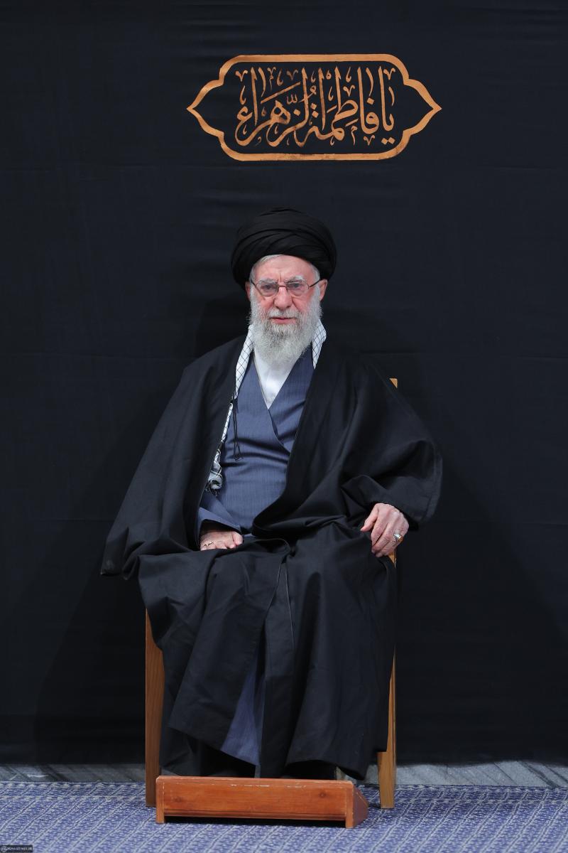 gallery item 49817.jpg