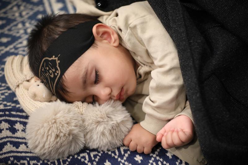 gallery item 49825.jpg