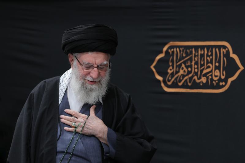 gallery item 49832.jpg