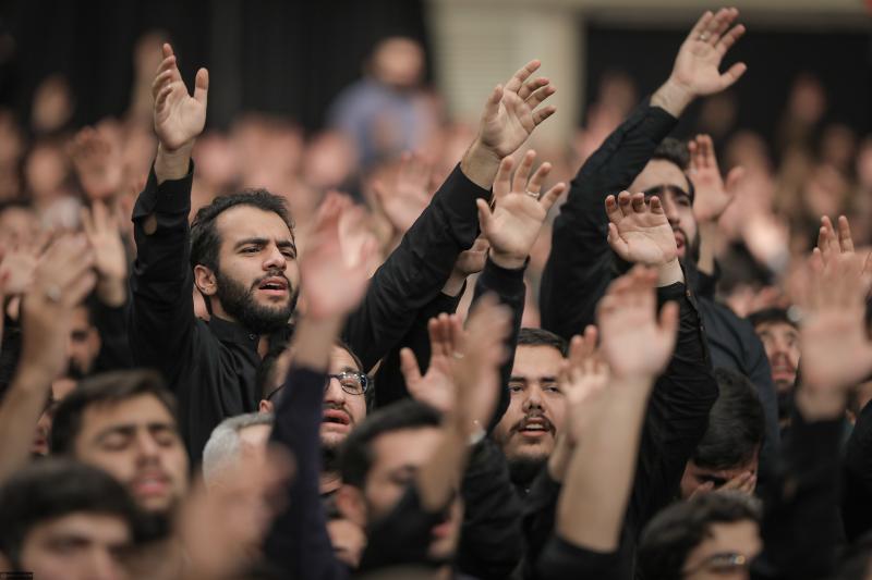 gallery item 49868.jpg