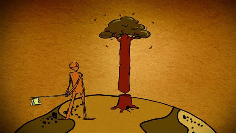 Preserving the environment is among important Islamic teachings: Leader