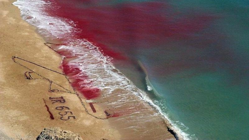 Legion of Merit awarded to the one who killed 290 passengers of Iran Air flight 655