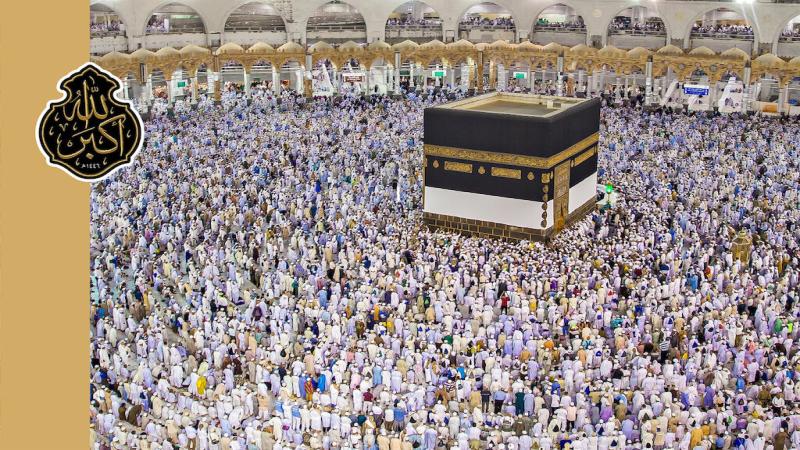 Islamic governments and nations, responsible to stand up against human catastrophe in Gaza