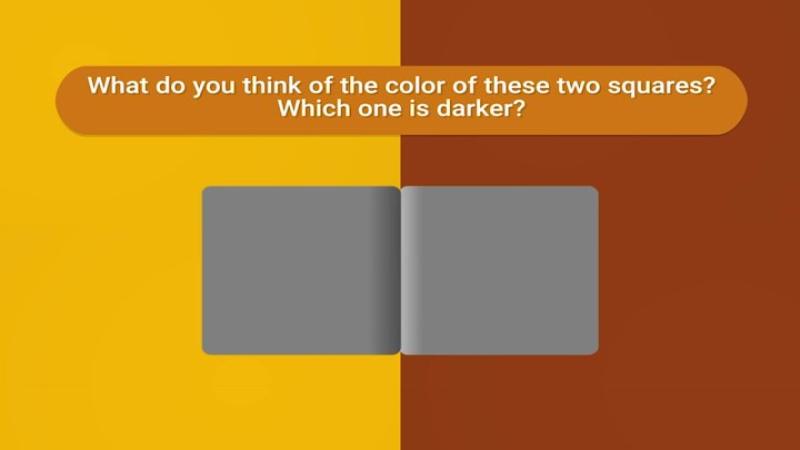 We're parts of one body, if we ignore the scant differences