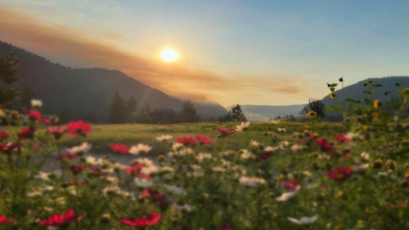 Awaiting that great hope